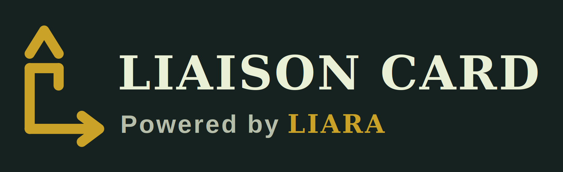 Liaison Card™ &ndash; Powered by Liara™
